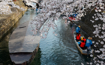 Holiday in Japan
