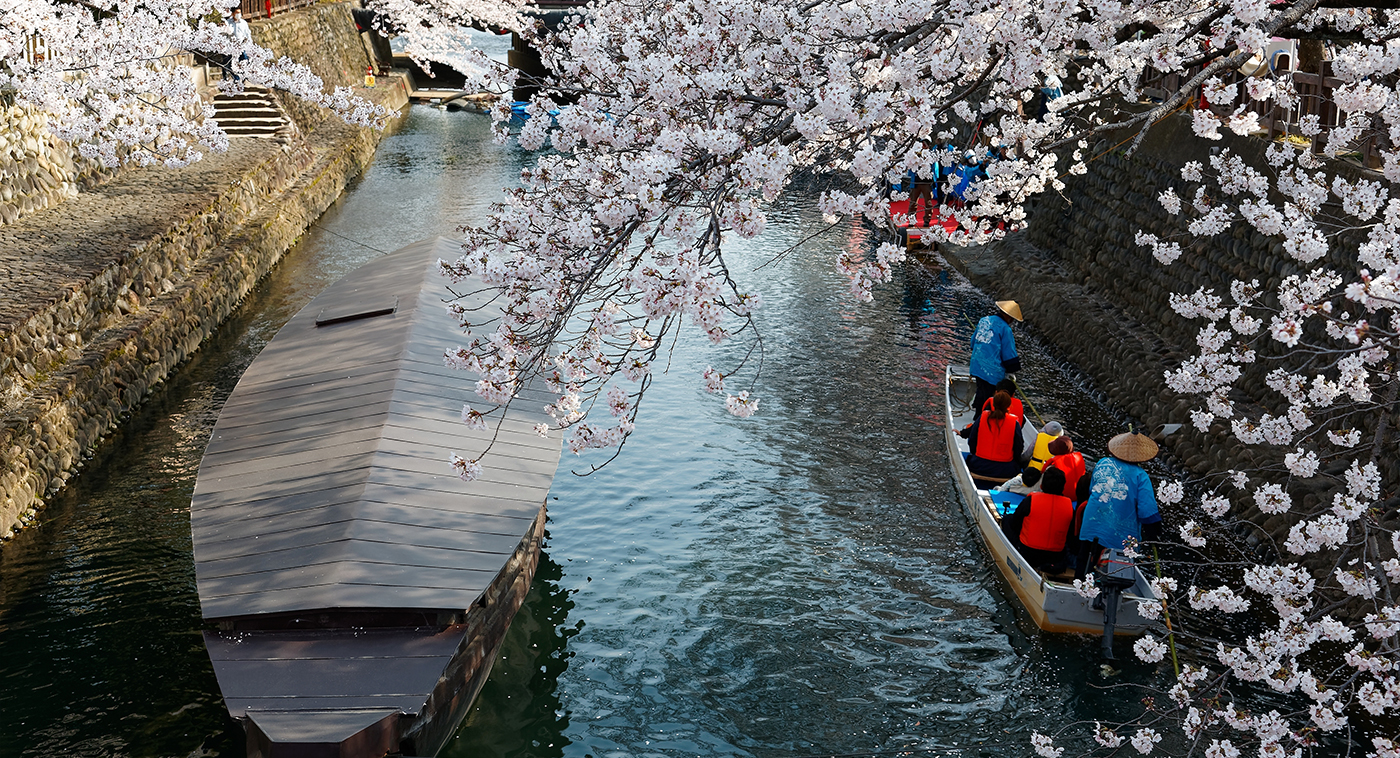 Holiday in Japan